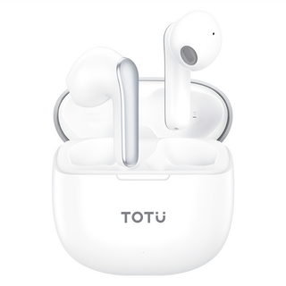 TOTU 拓途 TWS真無線藍牙耳機，高性能藍牙5.3晶片，HiFi發聲單元，13mm鋼環振膜大動圈, BE-12-7-TWS, 霧面磨砂銀色