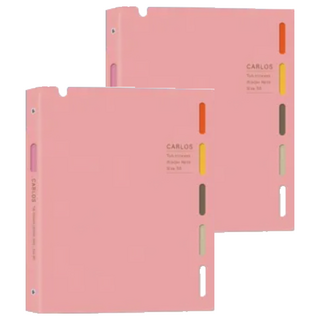 珠友文化 B5 26孔PP筆記本 - Carlos系列 典雅4色活頁筆記, 茶粉色, 2本