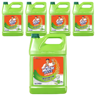 Mr Muscle 威猛先生 地板清潔劑加侖桶 清新早晨, 3.785L, 5瓶
