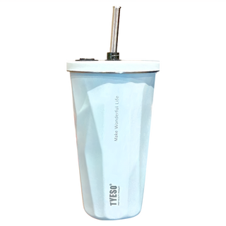 TYESO 泰碩 不鏽鋼吸管杯, 雪峰白, 600ml, 1個