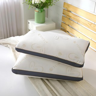 Ishur 伊舒爾 3D天絲 獨立筒枕, 42 x 70 ± 2cm, 2個