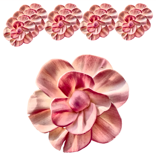 太陽花 6cm 10個 柔紅色, 1組