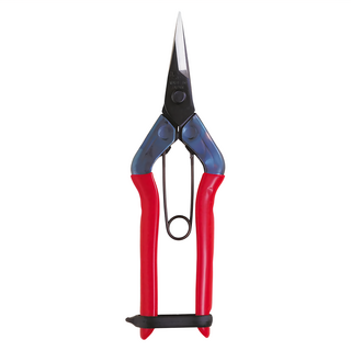 CHIKAMASA 近正 T-500 摘果鋏/芽切鋏/花剪/剪定鋏，日本製造，適用於一般園藝、果樹和蔬菜收穫以及水果採摘工作, 1支