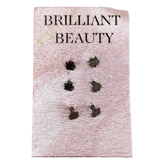 耀眼美人 養耳棒 鈦鋼耳環 六入