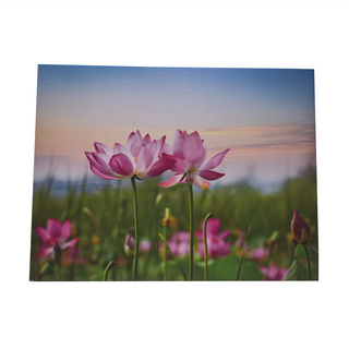 24mama 掛畫 單聯式 橫幅 粉色 夏季 花卉 蓮花 浪漫 無框畫 40x30cm