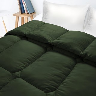 寢室安居 韓版 3D 雲朵羽絲棉保暖被 212 x 182cm 1.9kg, 雪松灰綠, 1條