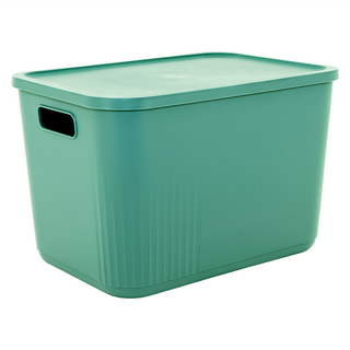 dayneeds 日需百備 Q萌撞色系附蓋收納盒/整理盒/雜物盒/零食盒 SN10-2XL-GN3, 綠色, 3個