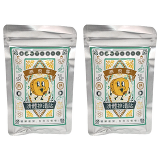 SnowIOU 樹飛雪 溫熱清體排濁貼布, 20片, 2包