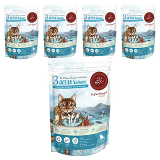 REAL POWER 瑞威 3號海洋魚宴 乾飼料, 低敏好吸收, 亮毛護膚, 添加有機紅藜和胺基酸, 海洋魚貝, 500g, 5包