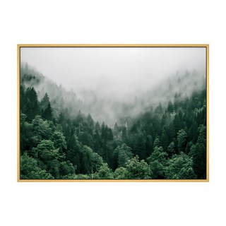 隨旅森林 森林風景裝飾畫, 木色