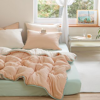 shez Home 柔軟起司水洗雙面薄被, 桃百吉餅