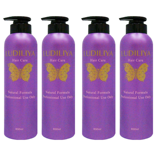 LUDILIYA 綠迪麗雅 染燙鎖色護色洗髮精 專業配方 800ml, 2瓶