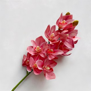 FLORAL M 仿真花 居家輕奢高級蝴蝶蘭, 1個, 公主粉