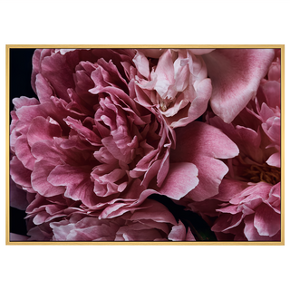 菠蘿選畫所 暗調宏觀牡丹畫作 40 x 30cm ｜居家裝飾 藝術掛畫, 木色