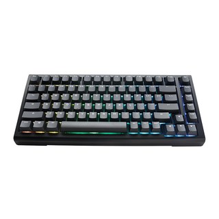 Ducky ProjectD Tinker 75% 經典黑 客製化機械式鍵盤 RGB 熱插拔 Cherry 銀軸 中文, PKTI2383AST-CPTWPDOECLAAW1, 1個