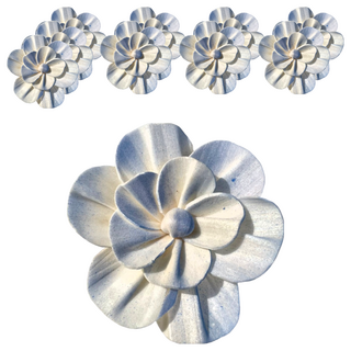 索拉花 碎邊牡丹 Set 10, 莫藍