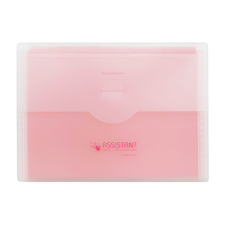 珠友文化 A4 輕巧扁型風琴夾 6層 附索引色本 12個隔層, 粉紅色, 1個