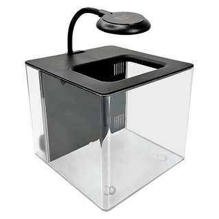 Crabaqua 小螃蟹 懶人背濾缸, 黑色, 1個