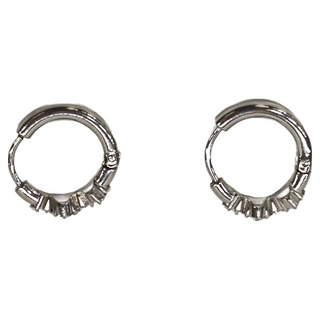 Brilliant Beauty 耀眼美人 鋯石圓圈環醫療鋼/鈦剛耳環 Set 2個 W仙女座, W仙女座 銀色