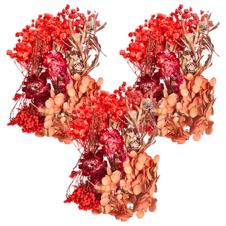 A-ONE 匯旺 Set 天然乾燥花 花束/花圈, 光輝火焰