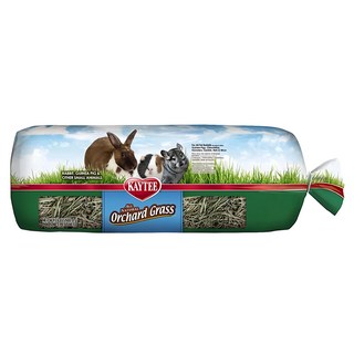 KAYTEE 果園草OG 24oz 寵物鼠兔適用, 1包