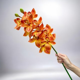 FLORAL M 仿真花 居家輕奢高級蝴蝶蘭, 1個, 愛馬仕橘