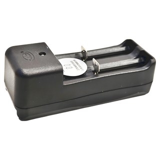 EDSDS 18650鋰電池雙槽充電器 國際電壓 折疊式插頭, 1個