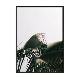 盛夏時分, 黑色