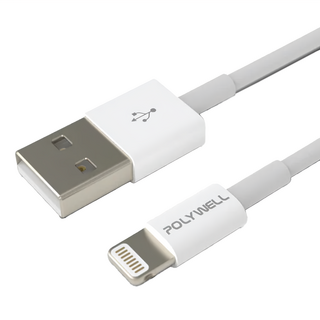 POLYWELL 寶利威爾 Type-A Lightning iPhone充電線, 0.5m, PW15-W45-A160, 1條