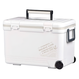 SHInWA 伸和 Holiday保冷冰箱, 厚實隔層設計 保溫效果佳 不鏽鋼螺絲固定 舒適提手設計, 白色, 27L