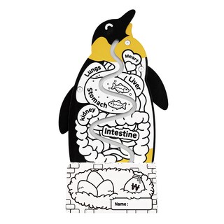 Anbox 趣玩紙屋 一企趣存錢 Set 錢/瓦楞紙板, 1組