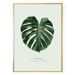 欣欣向榮 龜背竹 MONSTERA 植物掛畫, 40 x 30cm, 金色