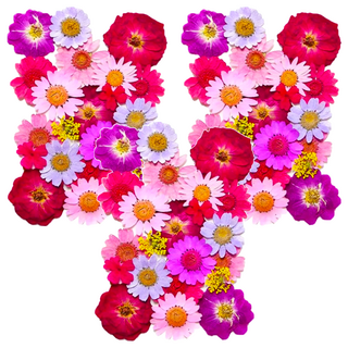 A-ONE 真花壓花 中花包 Set 14.5 x 10.5 CM, 春回大地