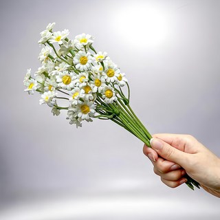 FLORAL M 法式野餐洋甘菊仿真花花材 純潔白 居家裝飾 仿真花藝, 1組