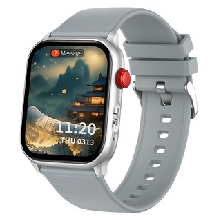 Apollo Life 阿波羅 RX86 AMOLED 智慧手錶, 銀色, 藍牙, 53.2mm