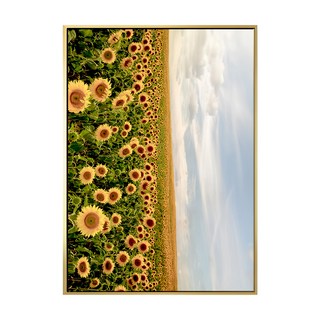 菠蘿選畫所 夏日金黃燦燦 BFEF4619G 42 x 59.4cm 畫框 向日葵田園風景, 金色