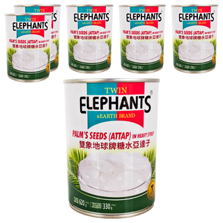 TWIN ELEPHANTS 雙象地球牌 糖水亞達子 泰國製造, 620g, 6罐