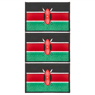 A-ONE 匯旺 國旗刺繡布貼 螺縈刺繡線 聚酯纖維 8 x 5 cm 台灣製, 黑色 + 紅色 + 綠色