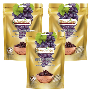 Woodridge 森之果物 嚴選特大葡萄乾, 無籽特級果乾, 300g, 3包
