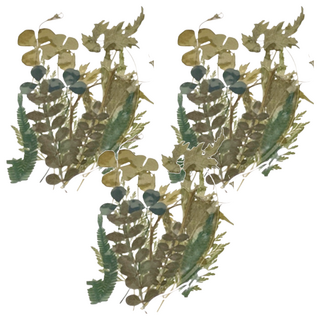 A-ONE 匯旺 真花壓花 小花包 Set 3個, 綠意盎然