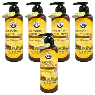 YR 葉璐芝 無患子草本洗髮精, 700ml, 5瓶