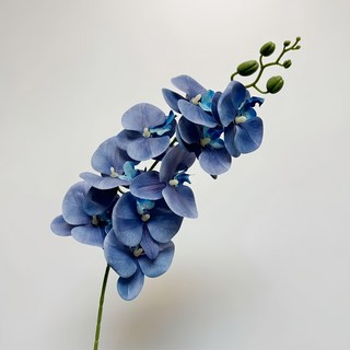 快豹生活 Orchid 九頭膠片蝴蝶蘭仿真花 克萊茵蘭 居家裝飾, 6件