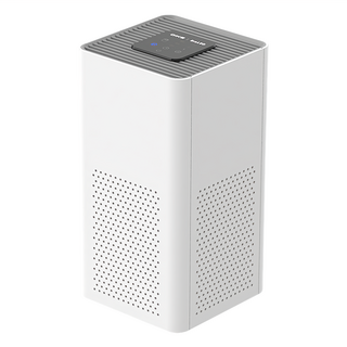 DIKE紫外線抗菌空氣清淨機 BLDS2102，HEPA濾網，UVC殺菌，三段風速，定時功能，原廠保固, 1個