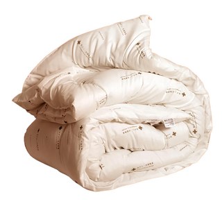 田中保暖試驗所 100%健康防蹣抗菌發熱冬被，日本大和抗菌發熱被，100%聚酯纖維，台灣製, 雙人(210 x 180cm)