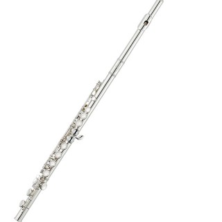 HDC英昌 Albert Weber 長笛 AWFL-200, 1套, 銀