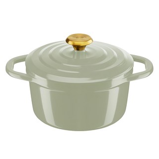 Tefal 特福 IH電磁爐適用Air雙耳鑄鐵鍋 淡綠色 1個 20cm