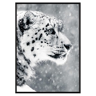 堅持 雪豹 NS_墨特-雪豹 黑色, 40 x 30cm