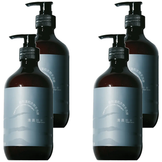 VIIGO 拾刻 溫和衣物手洗精 清晨拾光 含酵素及葡萄糖苷起泡劑 歐盟ECOCERT認證, 500g, 4瓶