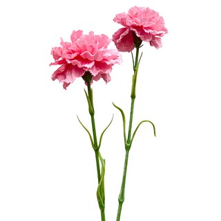 FLORAL M 手感保濕康乃馨仿真花材, 蜜桃粉, 2支