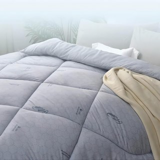 Crocodile 鱷魚 石墨烯羊毛奈米恆溫冬被